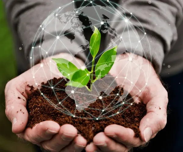 Roles and Opportunities Within the Department of Agriculture