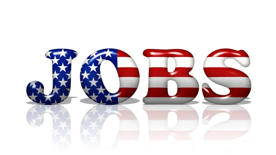 USA JOBS and the Federal Employees Path