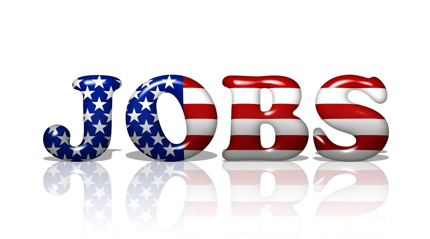 USA JOBS and the Federal Employees Path