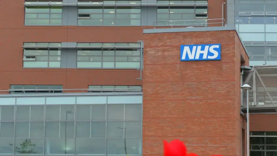 Job Roles And Opportunities Within The NHS