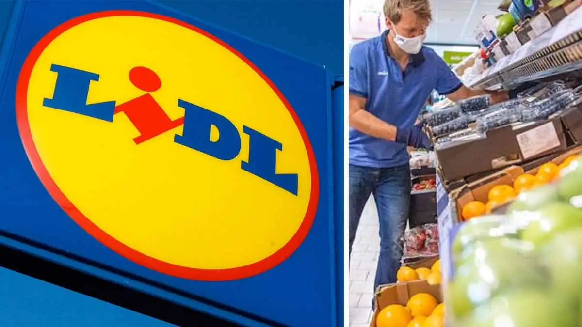 Comment postuler étape par étape chez Lidl en France : étape par étape