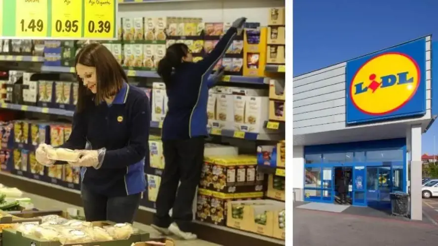 Emploi chez LIDL : des opportunités pour tous, avec ou sans expérience