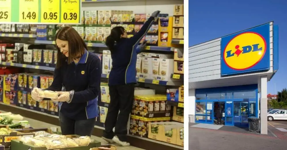 Emploi chez LIDL : des opportunités pour tous, avec ou sans expérience