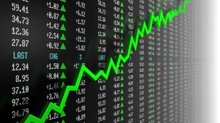 Navigating the Stock Market Live