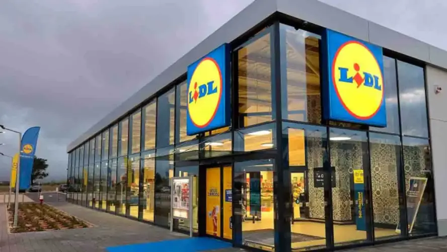 Lavora da Lidl – Introud