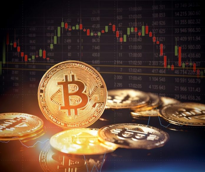 Publicación de Facebook Primero de Mayo Verde Elegante Ilustrado Floral